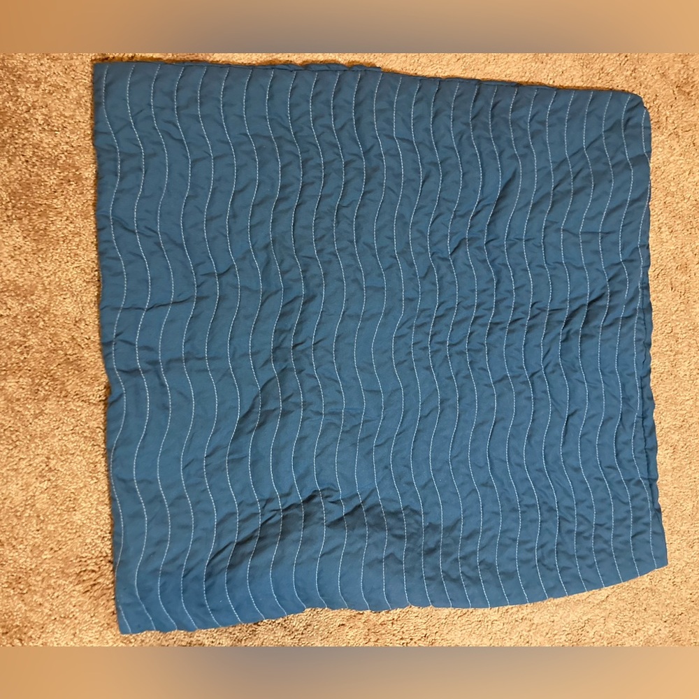 Like New Blue Euro Pillowshams. Set of 2.